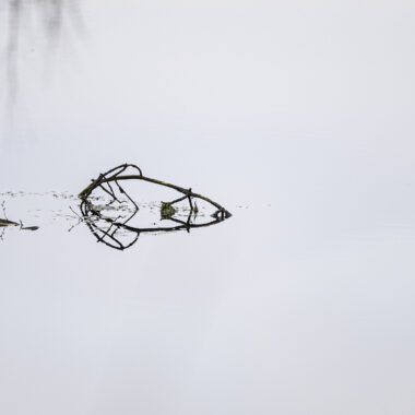 20250324-_C0A5907-UllrichAltmann