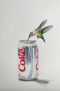 Leonie Nowotsch Kolibri mit Diet Coke, Farbstift auf Papier 30x30cm