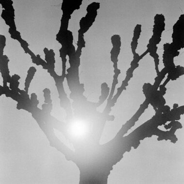 Michel Iffländer, Analog Travemünde