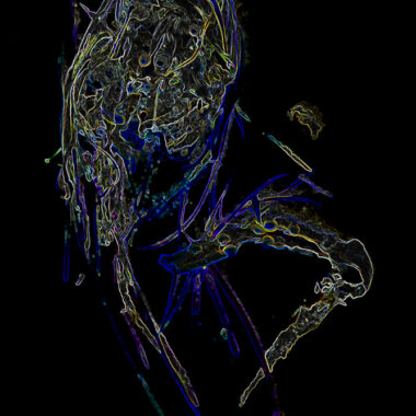 P1140393