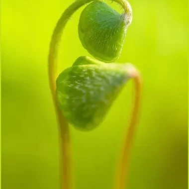 Stille Zwischenräume